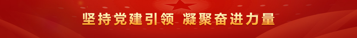 坚持党建引领 凝聚奋进力量